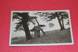 China Chine Shanghai Peking Pekin Or Japon Nara NV Rppc+++++ - China