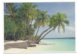 PLAGE DE REVÊ.- COULEURS DES ANTILLES.- ( ANTILLAS ) - St. Lucia