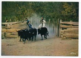 CPSM   CAMARGUE     -      MANADE DE TAUREAUX   TOROS - Corrida