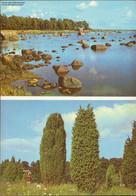 Delcampe - 1053068 Lohusalu Kadaket Mehrbildkarte - Estland