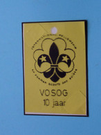 VOSOG 10 Jaar () Plastiek Embleem Geel () SCOUTS ( Zie / See / Voir Photo ) V.O.S.O.G. ! - Scouting