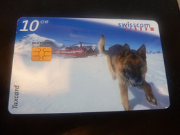 Taxcard - Swisscom - Fixnet - Marc - Stefan Knecht - 10 Chf - 07/1998 - 800 000 - - Honden