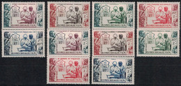 SERIE COLONIALE - OEUVRES SOCIALES  - 10 VALEURS - NEUF SANS TRACE DE CHARNIERE - COTE 119€. - 1950 Œuvres Sociales De La France D'Outre-Mer