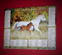 Almanach Du Facteur 2017 PTT Oller  (81) Photos Chevaux - Grand Format : 2001-...