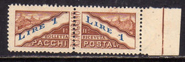 REPUBBLICA DI SAN MARINO 1945 PACCHI POSTALI PARCEL POST LIRE  1 MNH - Spoorwegzegels