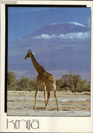 1046928 Giraffe At The Foot Of MT. Kilimanjaro - Kenya