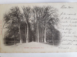 Carte Postale De Decize, En 58, Les Promenades, 1902 - Decize