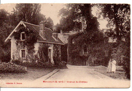 Carte Postale Ancienne Menucourt - Avenue Du Château - Menucourt