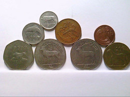 8 X Irland Kursmünzen Vor Euro 1P/1995, 2P/1975, 5P/1995, 10p/1993, 20P/1996, 50P/1978, 1Punt/1990, 1Punt/1998 - Numismatiek