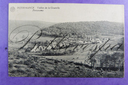 Pussemange Vallée De La Goutelle Panorama S.M. Poste Sugny 1924 - Material