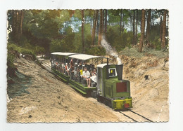 17 Ile D'oléron Le Petit Train De St Trojan Ed Arjac Photo Grandsart - Ile D'Oléron