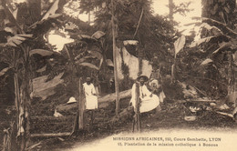 MISSIONS AFRICAINES - PLANTATION DE LA MISSION CATHOLIQUE A BONOUA - COTE D'IVOIRE - Côte-d'Ivoire