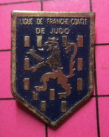 313i Pin's Pins / Beau Et Rare / THEME : SPORTS / JUDO KARATE LIGUE DE FRANCHE COMTE DE JUDO - Judo