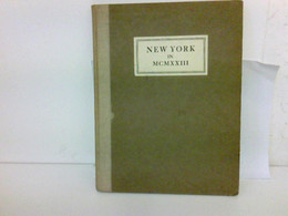 New York In MCMXXIII (1923) - Photography