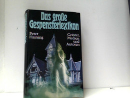 Das Große Gespensterlexikon. Geister, Medien Und Autoren. ( Ullstein Sachbuch). - Glossaries
