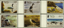 FALKLAND ISLANDS 2020 FAUNA Animals BIRDS - Fine Set MNH - Falklandeilanden