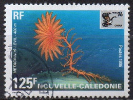 NOUVELLE CALEDONIE N° 711 O Y&T 1996 China 96 Exposition Philatélique Internationale Faune Marine (Metacrimus Levii) - Gebraucht