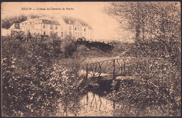 +++ CPA - DEULIN - Château Du Chevalier De Harlez  // - Hotton