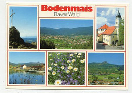 AK 025138 GERMANY - Bodenmais /  Bayer. Wald - Bodenmais