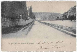 La Meuse - Route De WAULSORT - Carte Précurseur - Oblitération De 1901 - Hastiere