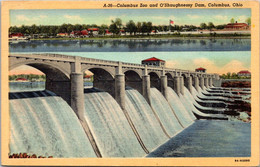 Ohio Colunbus The Columbus Zoo And O'Shaugnessy Dam 1948 Curteich - Columbus