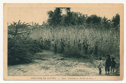 CPA - INDOCHINE - Province De Bentre - BATRI. Cueillette De Feuilles De Mürier - Viêt-Nam