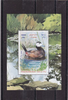 Iran 2020 White Headed Duck Stamp, Bird Souvenir Sheet  Set MNH - Iran