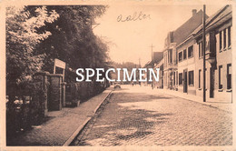 Statiestraat - Aalter - Aalter