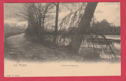 La Hulpe - Drève De Nysdam - 1910 ( Voir Verso ) - La Hulpe