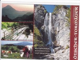 NÖ Ak Ötscher Tormäuer, Naturpark Im Bezirk SCHEIBBS, Niederösterreich Ansichtskarte - Scheibbs