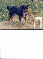 Andorre 1988-Andorre-Française- Yvert Nr.: 373 On Carte Maximum Photo. Theme: Chien ........ (VG) DC-10238 - Used Stamps