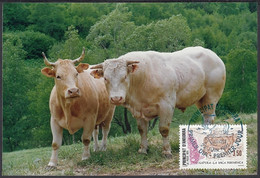 Andorre 1991-Andorre-Française- Yvert Nr.: 406 On Carte Maximum Photo. Theme: Vache/Boeuf........ (VG) DC-10241 - Usados