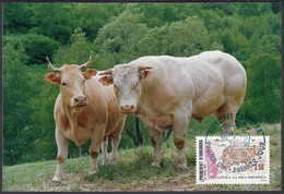 Andorre 1991-Andorre-Française- Yvert Nr.: 406 On Carte Maximum Photo. Theme: Vache/Boeuf........ (VG) DC-10241 - Gebruikt