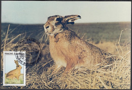 Andorre 1988-Andorre-Française- Yvert Nr.: 374 On Carte Maximum Photo. Theme: Lapin....... (VG) DC-10244 - Oblitérés