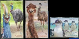 Australie / Australië** - Oiseaux / Vogels / Vögel - Coureurs / Lopers / Läufer - Autruches / Struisvogels / Strauße - Ostriches