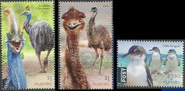 Australie / Australië** - Oiseaux / Vogels / Vögel - Coureurs / Lopers / Läufer - Autruches / Struisvogels / Strauße - Autruches