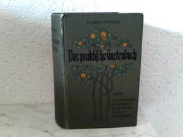 Der Blumengarten - Ein Handbuch Für Pflanzen - Und Gartenliebhaber - Auf Grund Langjähriger Erfahrungen Und Be - Nature