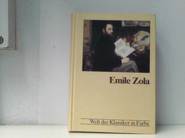 Welt Der Klassiker In Farbe, Die Grossen Klassiker Literatur In Bildern, Texten , Daten - Deutschsprachige Autoren