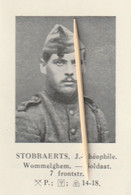 Vuurkruiser : 1914-1918 : , Soldaat, Soldat , Wommelghem, Wommelgem, J. Stobbaerts - 1914-18