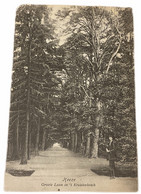 #1030 - Groote Laan In ‘t Kraaienbosch, Heeze 1917 (NB) - Other