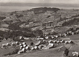 (213)  CPSM  Pestalozzi A Trogen - Trogen