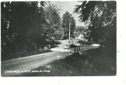 Laneuville Au Bois Entrée Du Village ( Tenneville ) - Tenneville