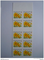 België Belgique 2001 Trompetnarcis Bloem Narcisse Des Bois Boekje Carnet B39  3046 Yv 3041 MNH ** - 1997-… Dauerhafte Gültigkeit [B]