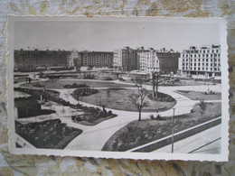 CPSM.  LE HAVRE.   Le Jardin Saint-Roch. - Saint-Roch (Plein)