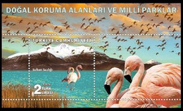 Turquie/Turkije /Truthahn /Turkey**  Oiseaux / Vogels / Vögel / Birds - Flamants Roses / Flamingovogels / Rosa Flamingos - Flamingos