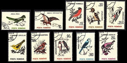 Roumanie / Roemenië / Rumänien / Romania° - Oiseaux / Vogels / Vögel / Birds - Zwaluwen