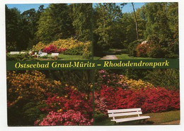 AK 025365 GERMANY - Graal-Müritz - Rhododendronpark - Graal-Müritz