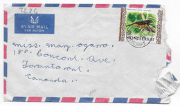 5CRT3224 - MONTSERRAT Lettera Commerciale 02.09.1974 - Montserrat