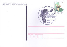 POLAND : POST CARD WITH SPECIAL CANCELLATION : 17 JUNE 2000 : SWIETO ASU : ISSUED FROM ISTEBNA - Brieven En Documenten