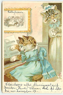 N°19199 - Chats Habillés, La Petite Jouant Du Piano - Chat Style Wain - Dressed Animals